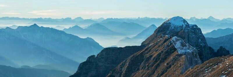 WaxTickYT Builder banner