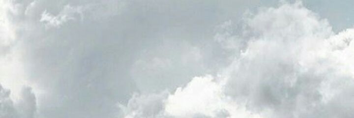 —🎄E L FF, banner