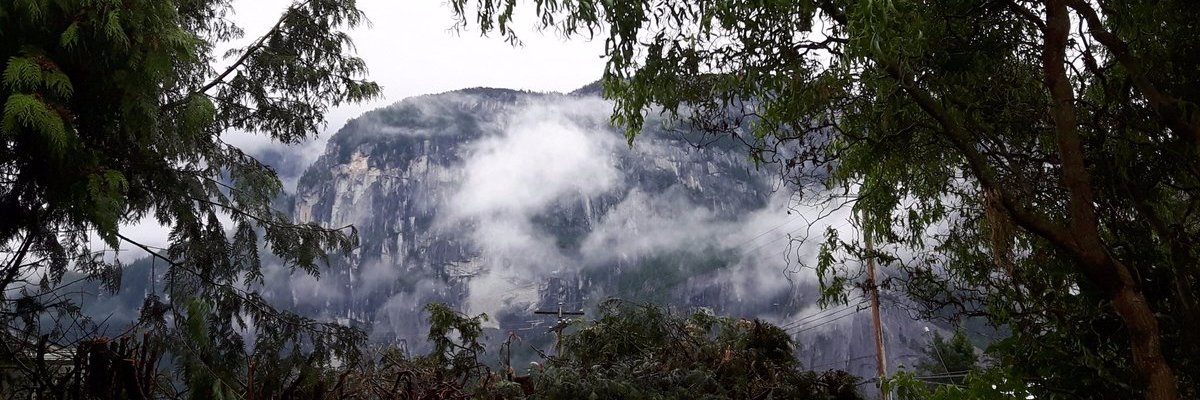Traxund's profile banner image