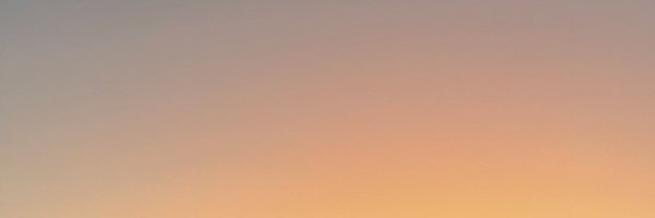 sofiaildefonso Profile Banner