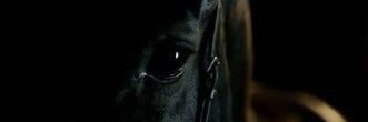 Gase33's profile banner image