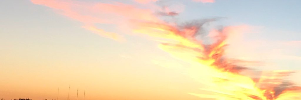 TanteJulia's profile banner image