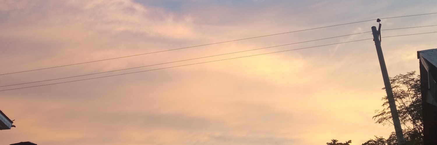 leydehh's profile banner image