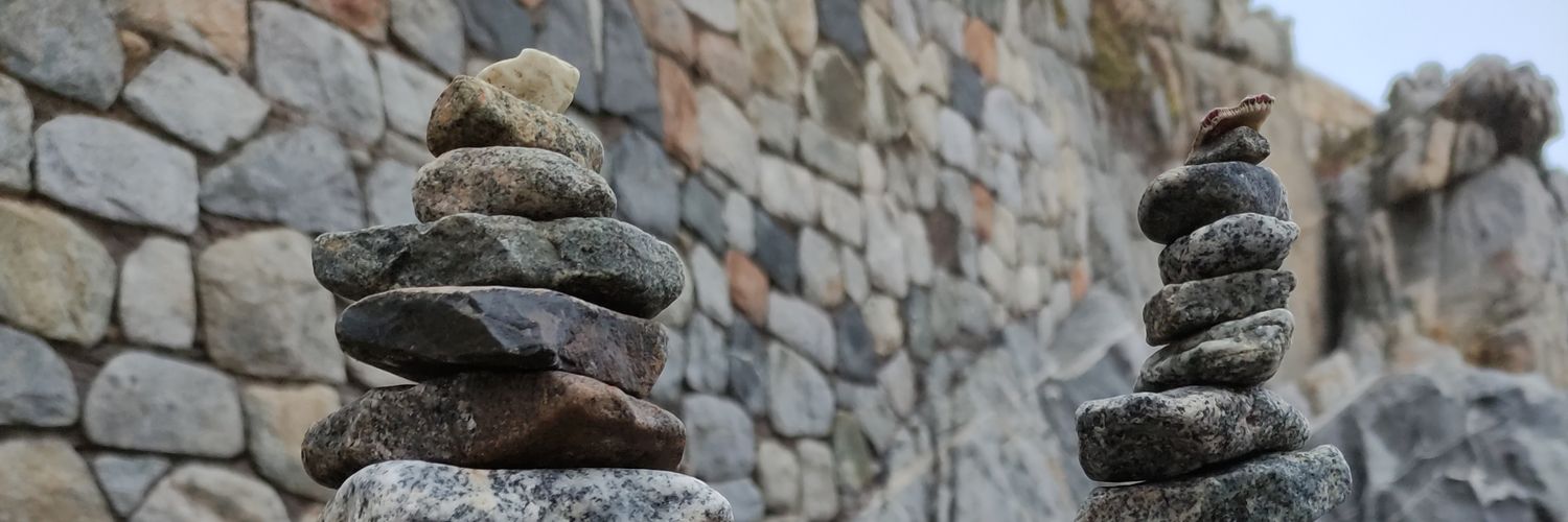 R O D R I G O ! banner