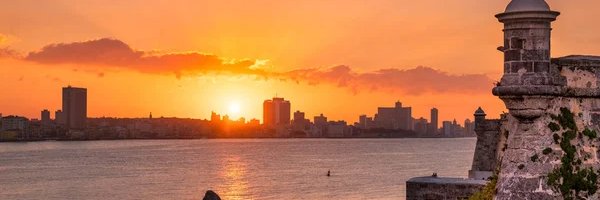 RaynierPellonA Profile Banner