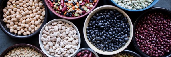 FILEG_Occitanie Profile Banner