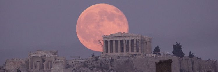 cellamonico's profile banner image