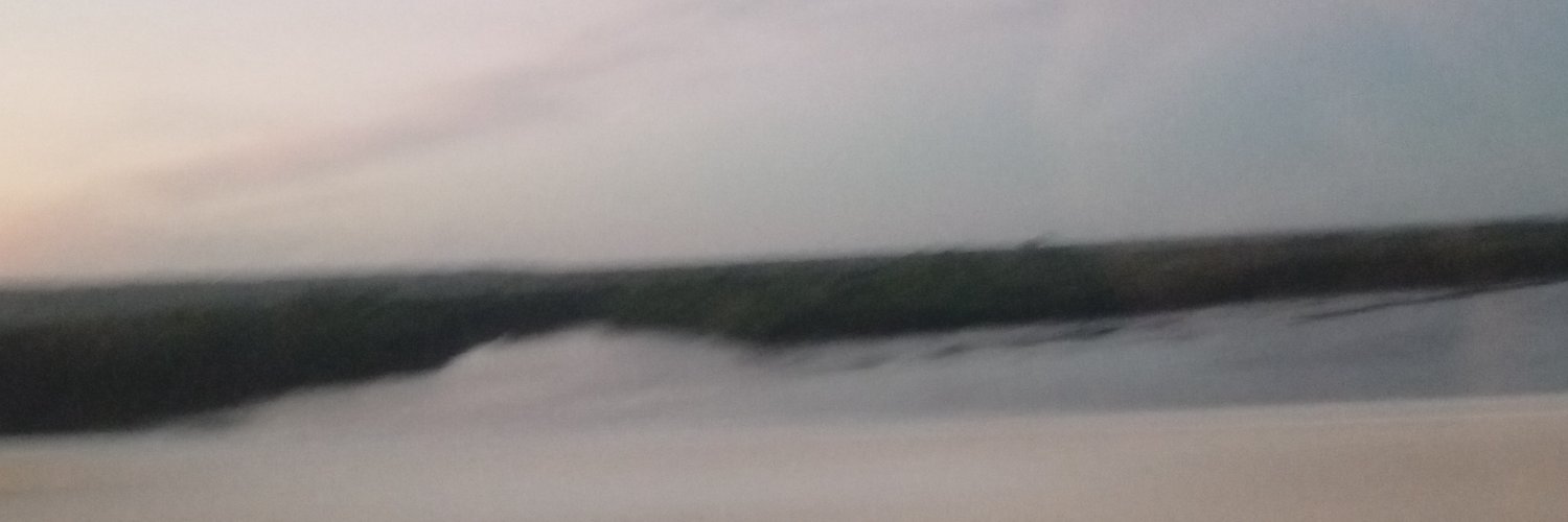 ALDAAPARECIDAD1's profile banner image