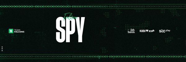 Falcon Spy Profile Banner