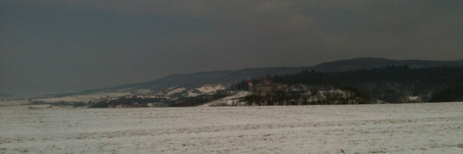 AlineSchaaf's profile banner image