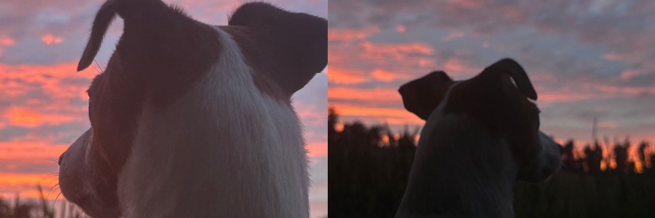 TheRoyalSnack's profile banner image