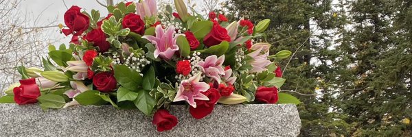 Yk_Moose Profile Banner