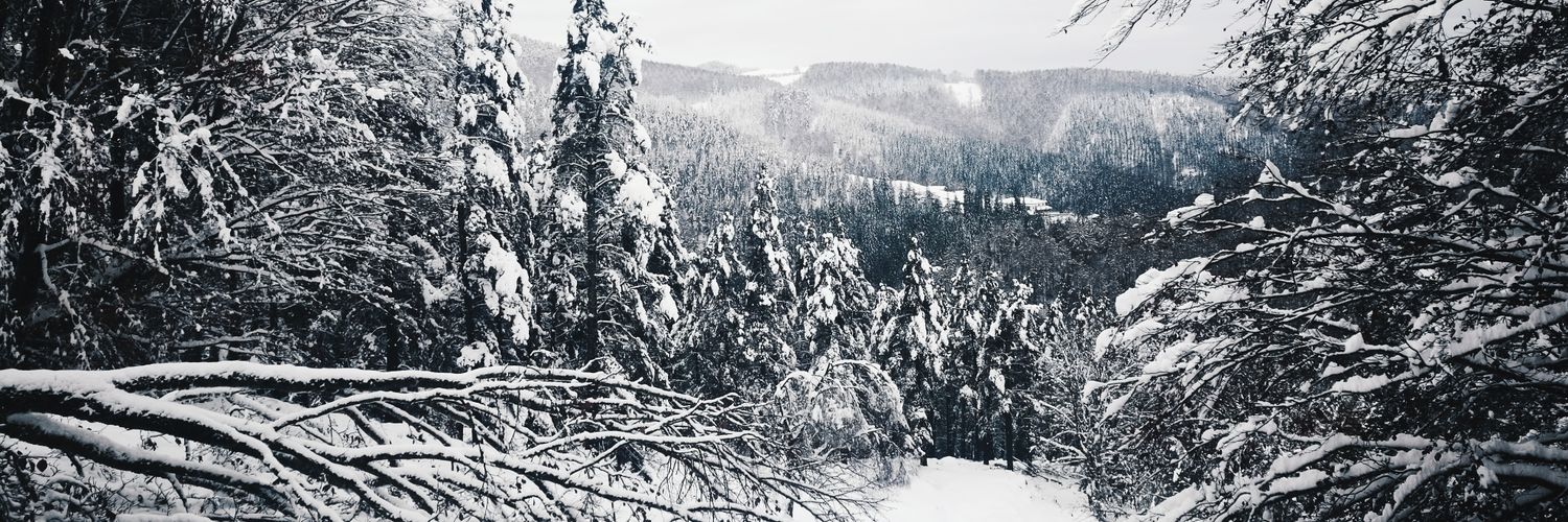 larraies's profile banner image