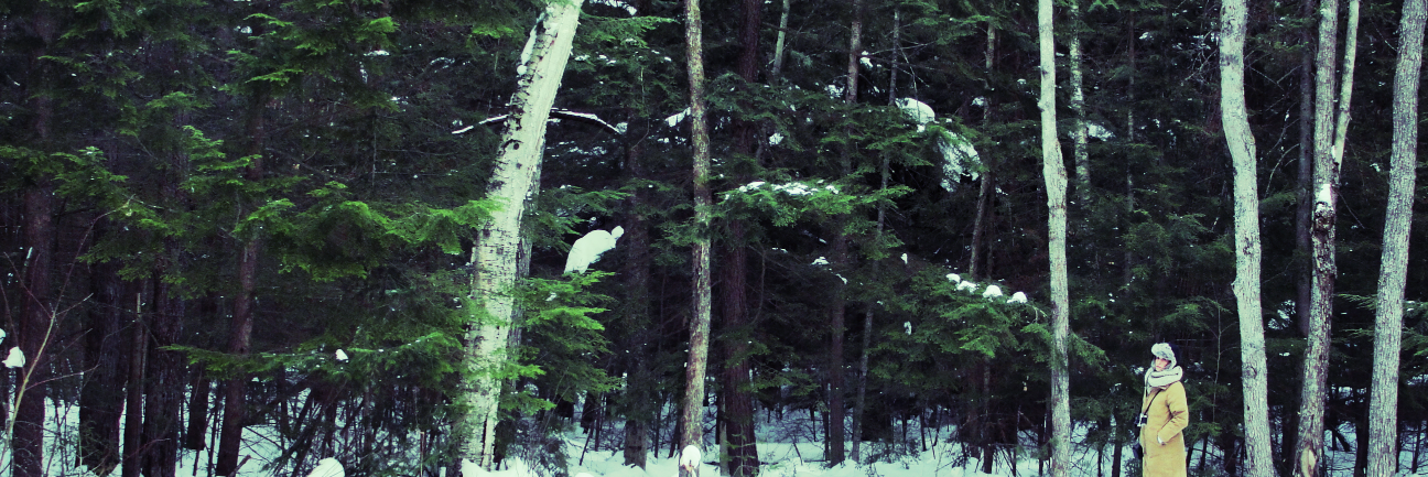 LaughItUpKid's profile banner image