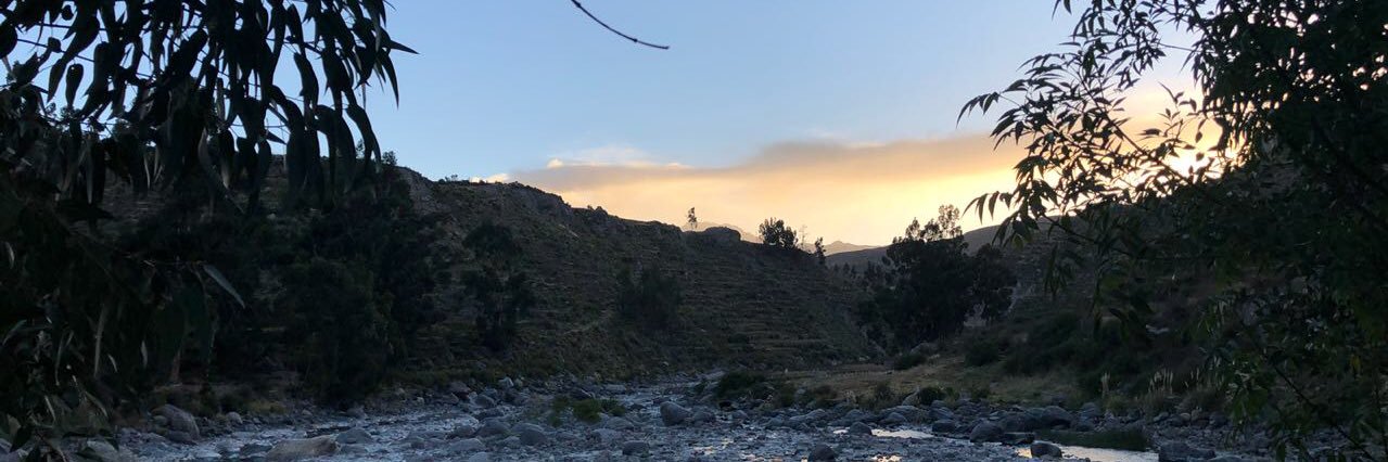 RicB_'s profile banner image