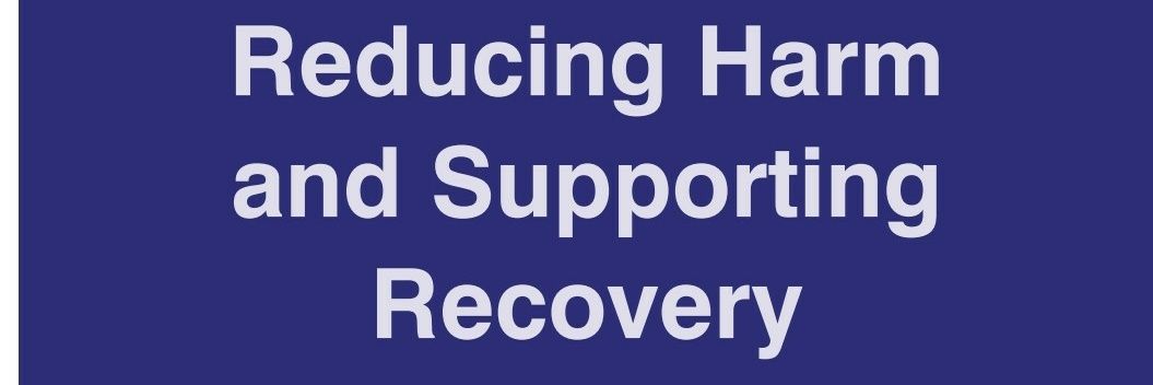 Chrysalis Community Drug Project banner