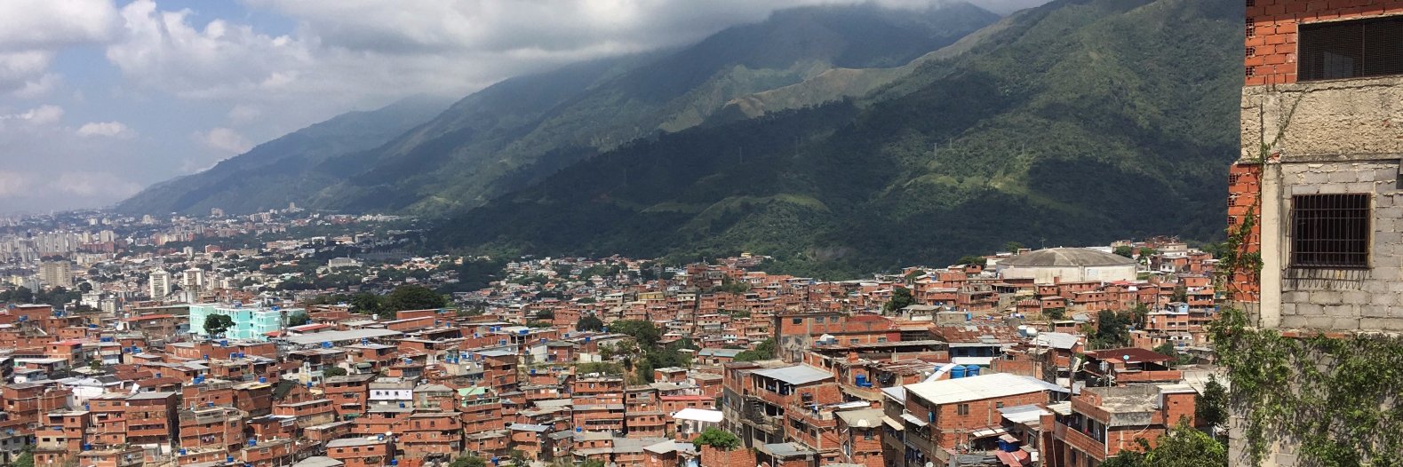 Alexandra Ulmer banner