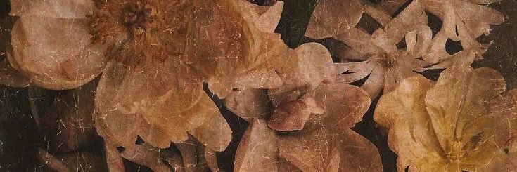 sutton etc🪱 banner