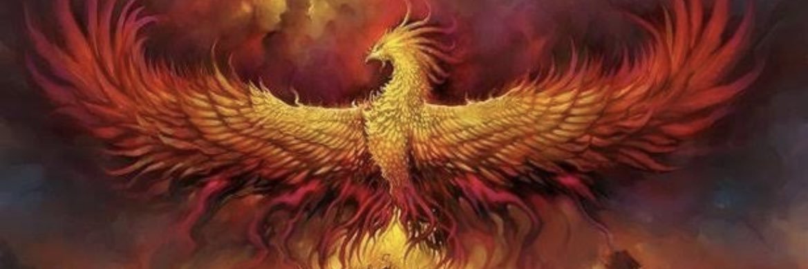 aycagicir's profile banner image