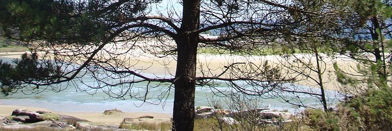 Pinhinski's profile banner image