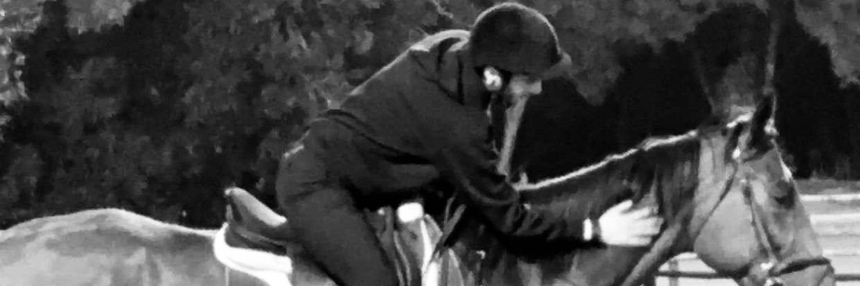 سلمان إبراهيم العصيمي banner