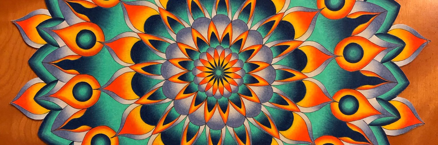 Virginia Salo banner