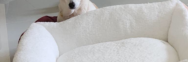 aproben09's profile banner image