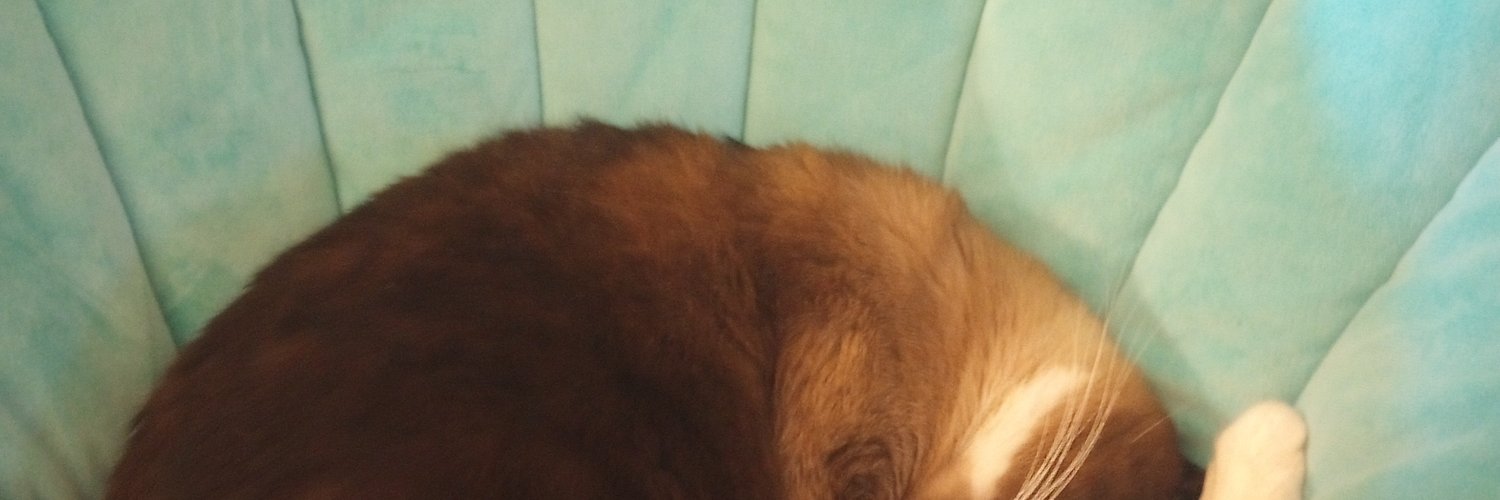 theCANDYgoblin's profile banner image