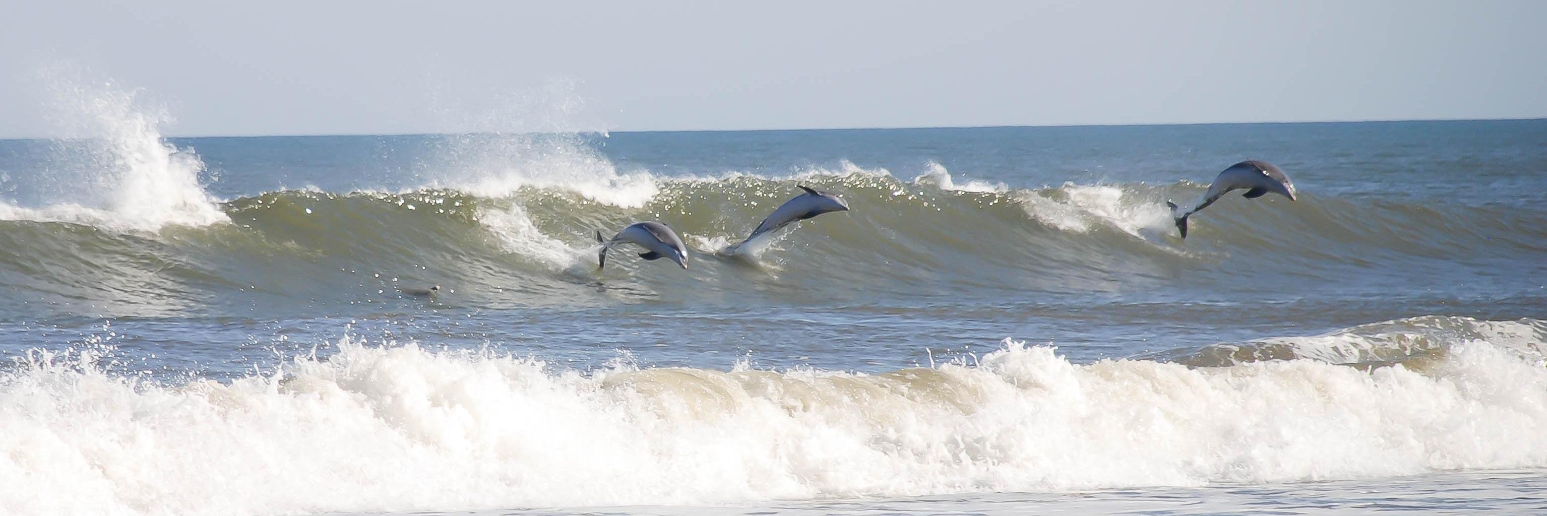 VillageRealty's profile banner image