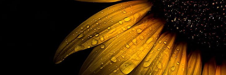 Imestranged's profile banner image