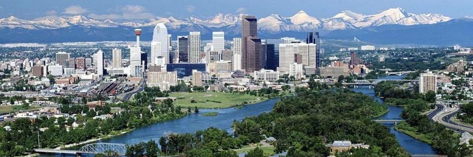 Robert Webster banner