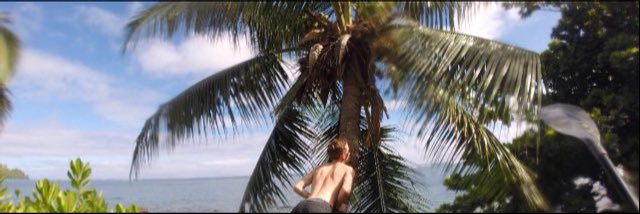Shae_6's profile banner image