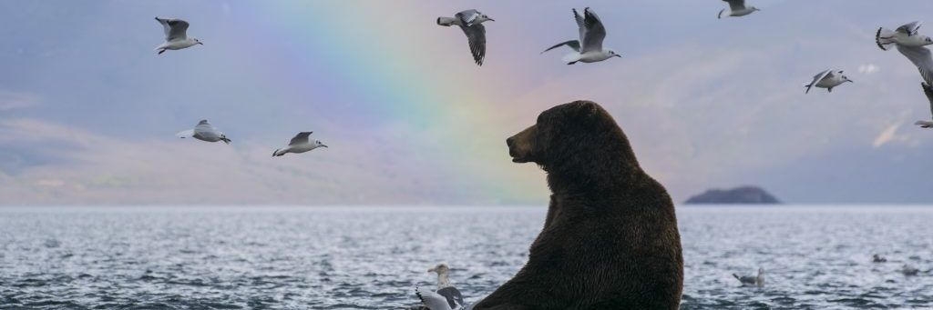 brodijayne's profile banner image