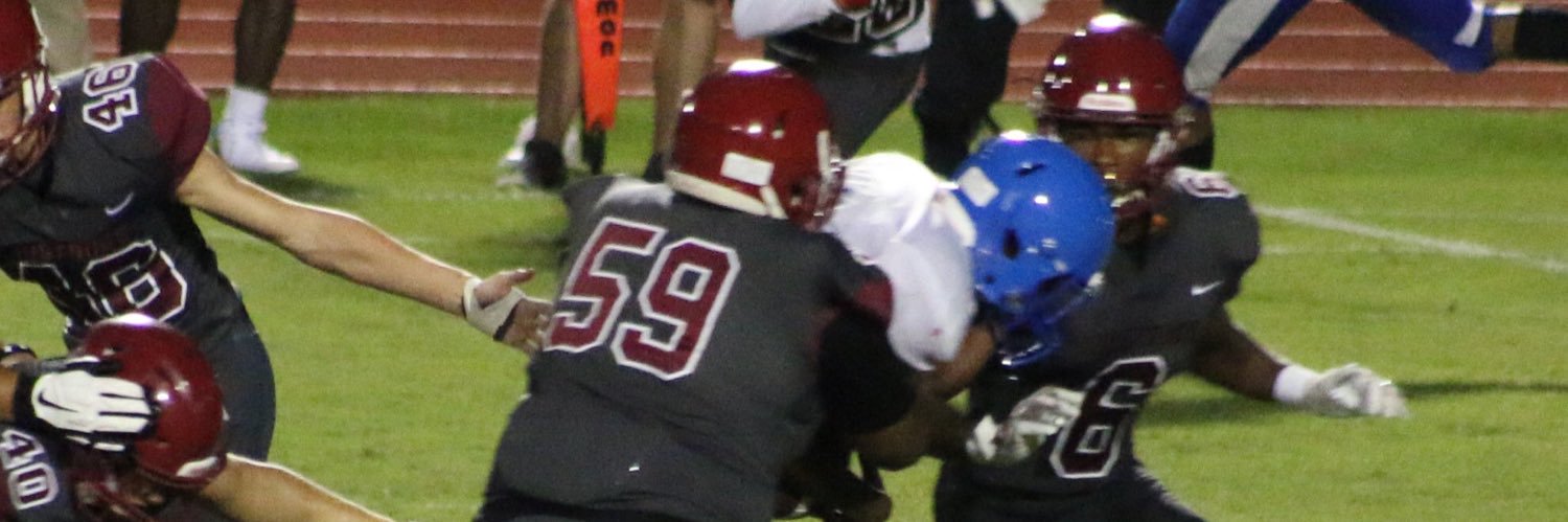 Ladarius Johnson banner