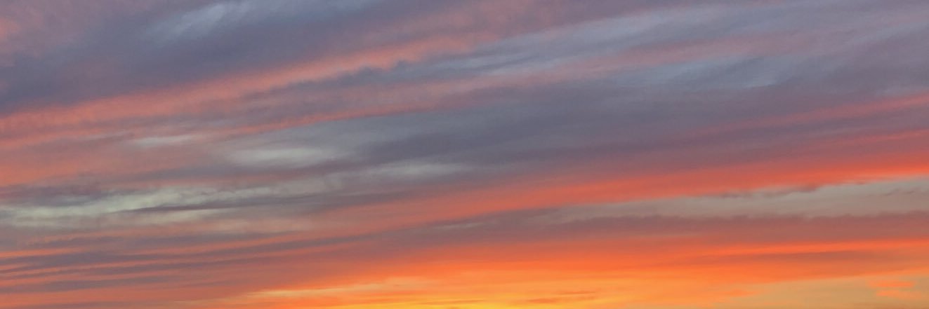 emnotarangelo's profile banner image