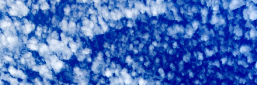Paigey banner