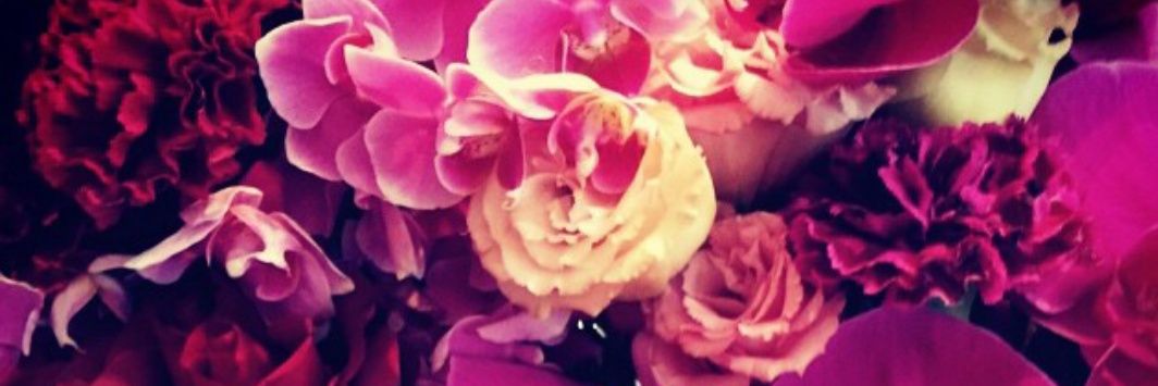 nellynell78666's profile banner image