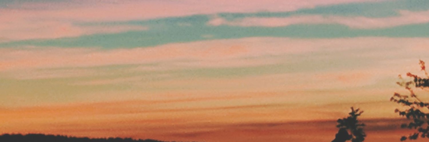 notbrayton's profile banner image