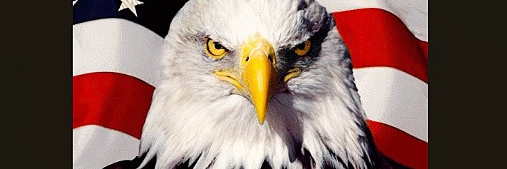 Borinquens's profile banner image