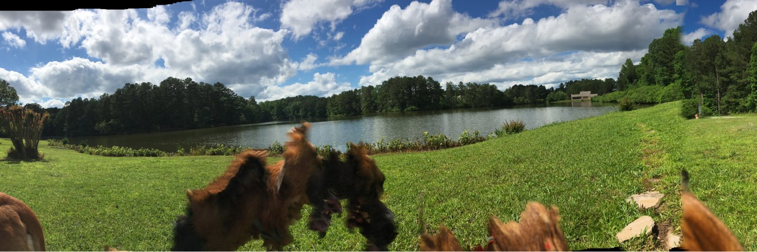 NicholasW47's profile banner image