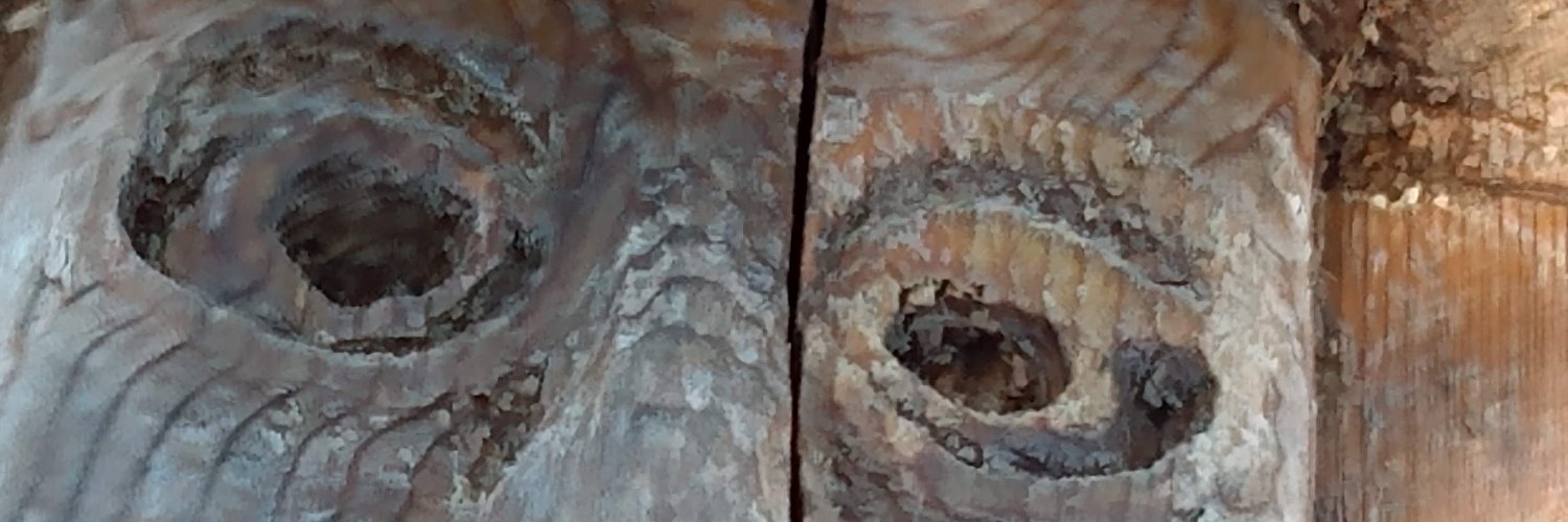 Douglas J McKeever banner