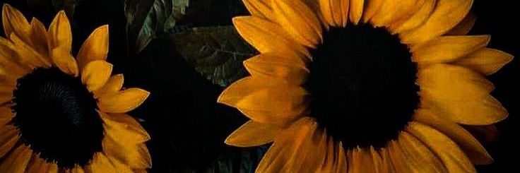 camila 🫧🥂 banner