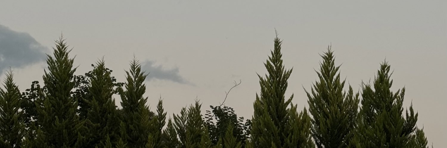 ferbvs's profile banner image