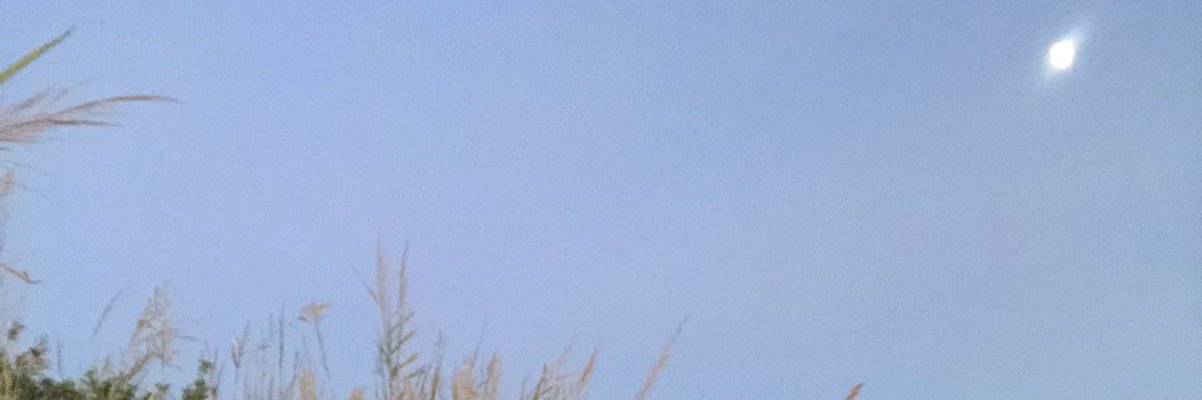 angeelgrcx2's profile banner image