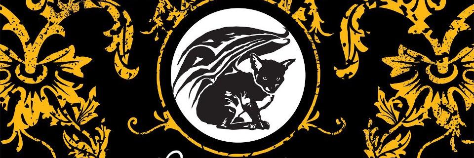 dracolite's profile banner image