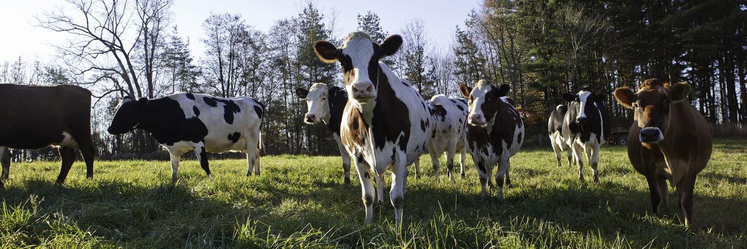 Upstate Farms (@UpstateFarms) | Twitter
