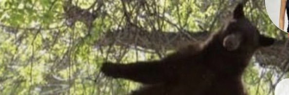 ryanmichie_'s profile banner image