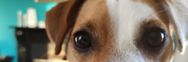 BolandMairead Profile Banner