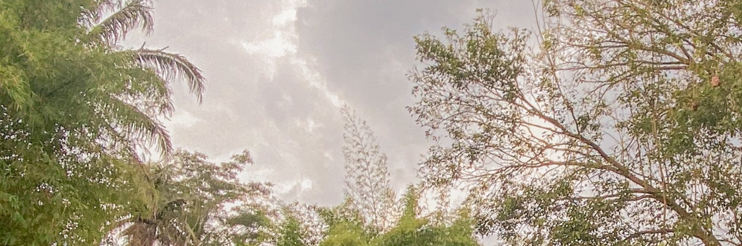 Deyydeo's profile banner image
