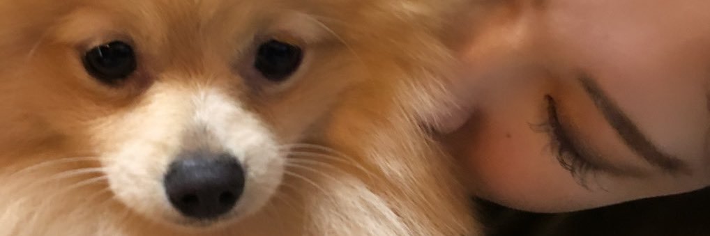 Ari_miiiku's profile banner image